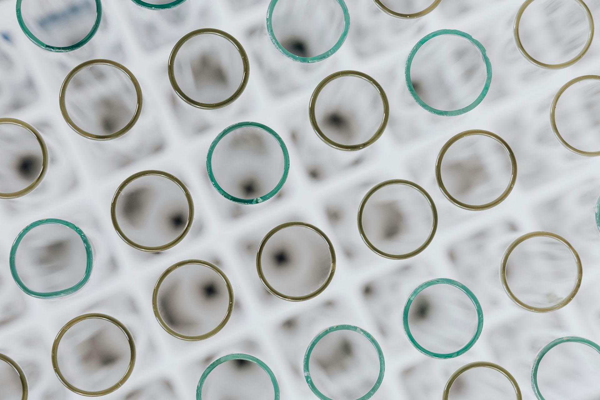 test tubes